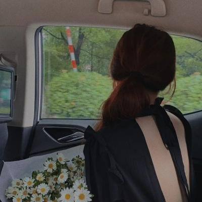 芬奇达